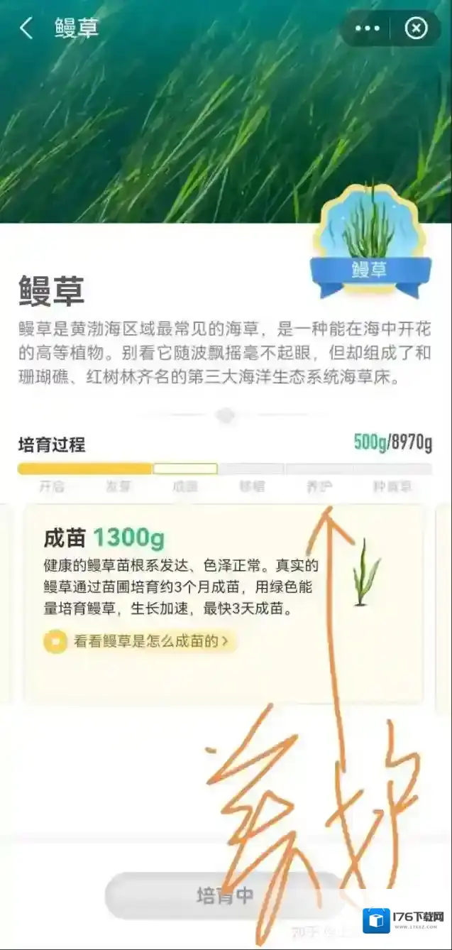 《支付宝》神奇海洋海域6攻略