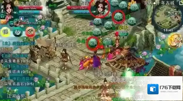 忘仙精华羽化石的作用