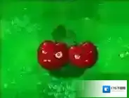 植物大战僵尸气球僵尸怎么打?植物大战僵尸气球僵尸打法攻略