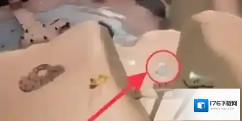 光遇6月29日每日任务怎么做？光遇6月29日每日任务完成攻略