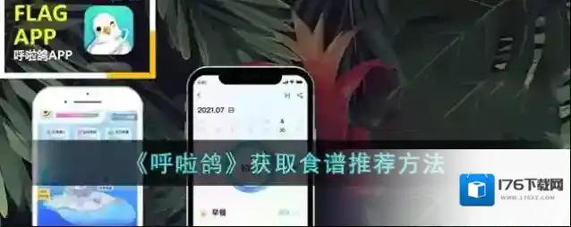 《呼啦鸽》获取食谱推荐方法