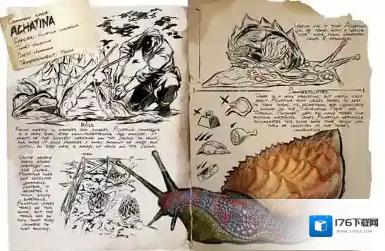 方舟生存进化手机版玛瑙螺怎么驯服 玛瑙螺代码属性介绍