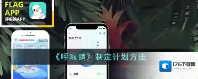 《呼啦鸽》制定计划方法