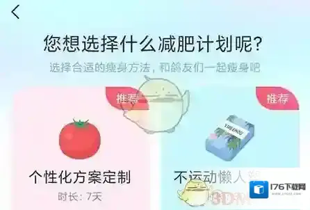 《呼啦鸽》制定计划方法