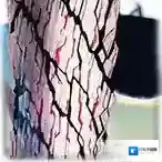 FGO永久冻土帝国BOSS有哪些 2.1章关卡BOSS汇总攻略