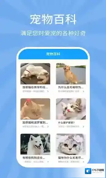 狗猫翻译器