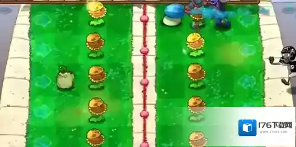 植物大战僵尸杂交版两面夹击怎么过-植物大战僵尸杂交版益智模式两面夹击通关攻略