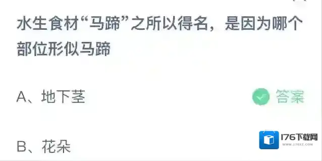 《支付宝》2023蚂蚁庄园11月1日答案最新