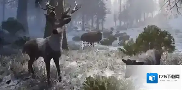 七日世界禁区什么时候上线-七日世界禁区上线时间