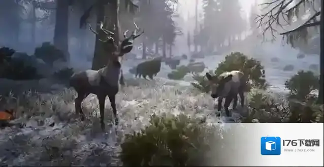 七日世界禁区什么时候上线-七日世界禁区上线时间