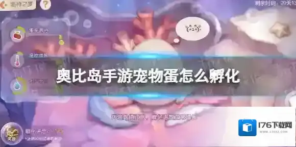 奥比岛手游宠物蛋怎么孵化 奥比岛梦想国度海神之梦蛋孵化方法
