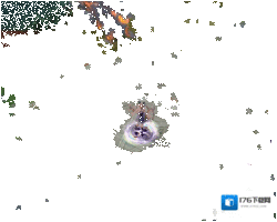 瑰夏琴诗 决战平安京猫掌柜全新情人节系列限定皮肤即将上线
