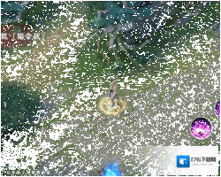 瑰夏琴诗 决战平安京猫掌柜全新情人节系列限定皮肤即将上线