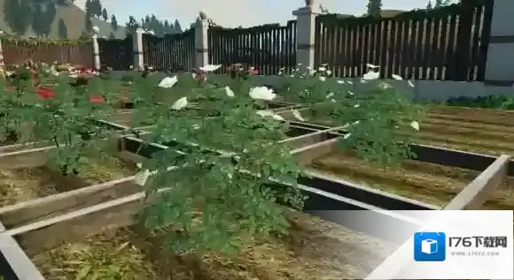 明日之后告白季节怎么参与 明日之后告白季节活动介绍