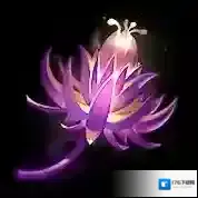 斗罗大陆猎魂世界