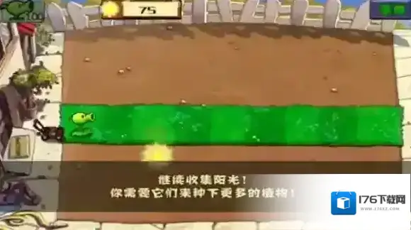植物大战僵尸