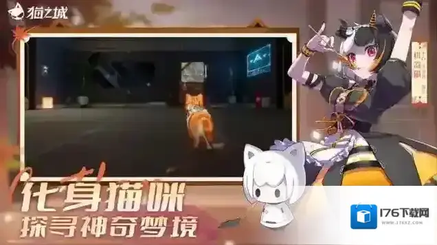 猫之城