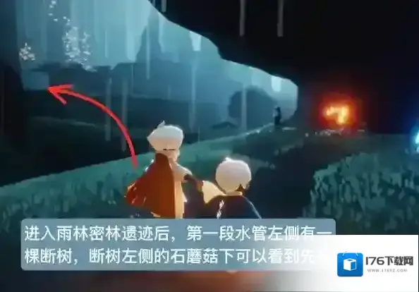 光遇雨林磕头先祖在哪里 地点位置兑换图攻略