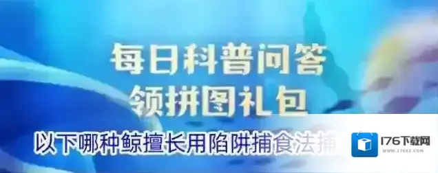 以下哪种鲸擅长用陷阱捕食法捕食鱼类